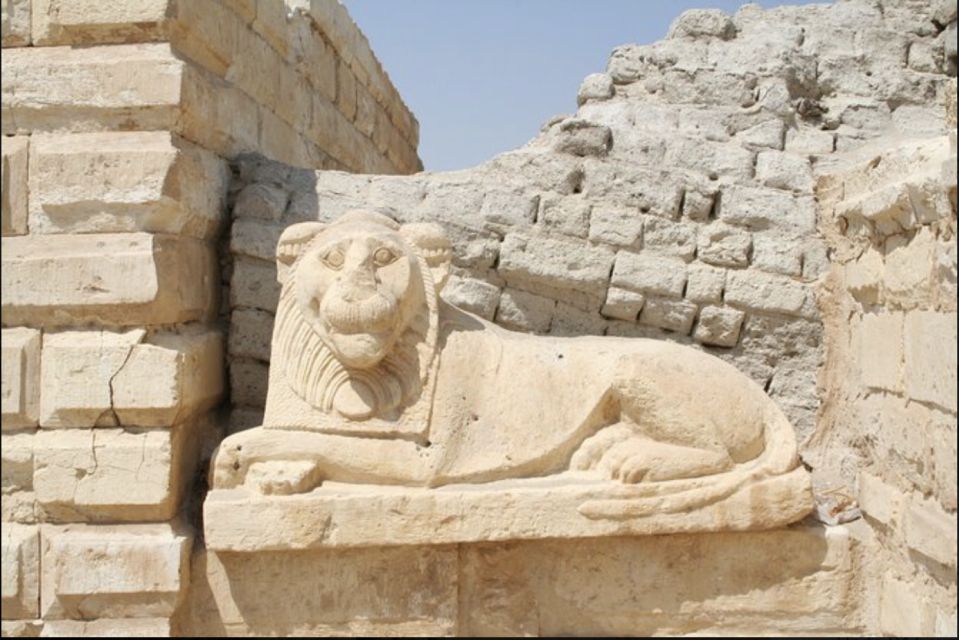 From Cairo: Whale Valley and Wadi El Rayan Waterfalls Tour - Key things I’d circle before you go
