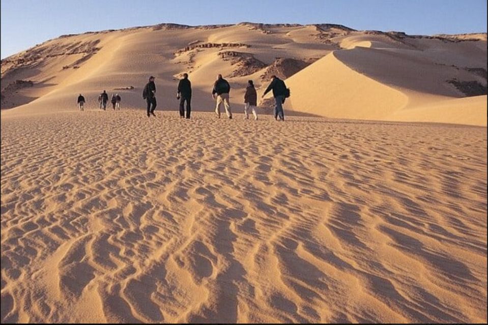 From Cairo: Whale Valley and Wadi El Rayan Waterfalls Tour - Qarun Lake: ancient saltwater views with real scale