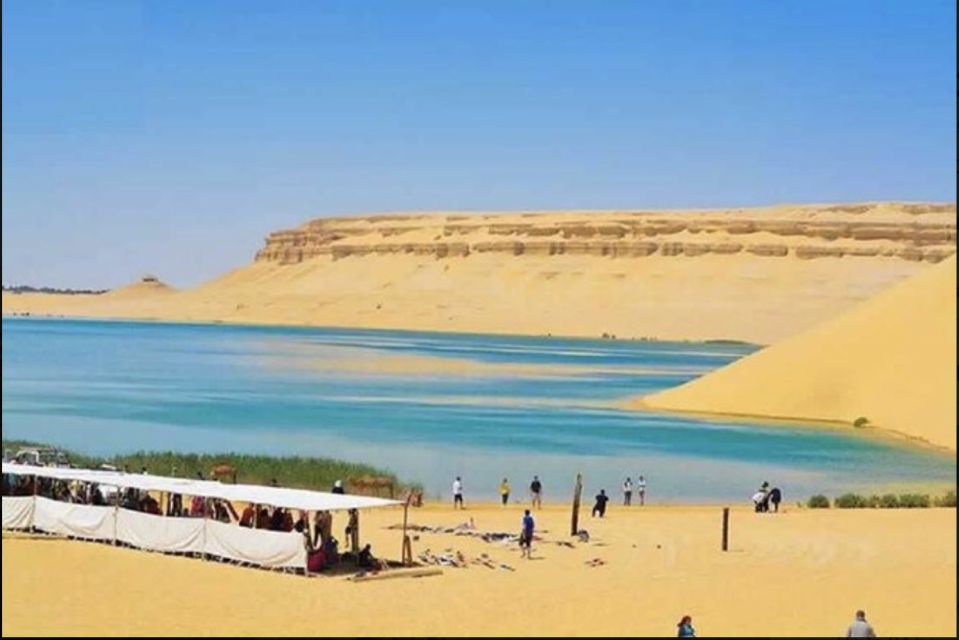 From Cairo: Whale Valley and Wadi El Rayan Waterfalls Tour - Overnight add-on: desert dinner, Chicken Mandi, and morning sweet bites