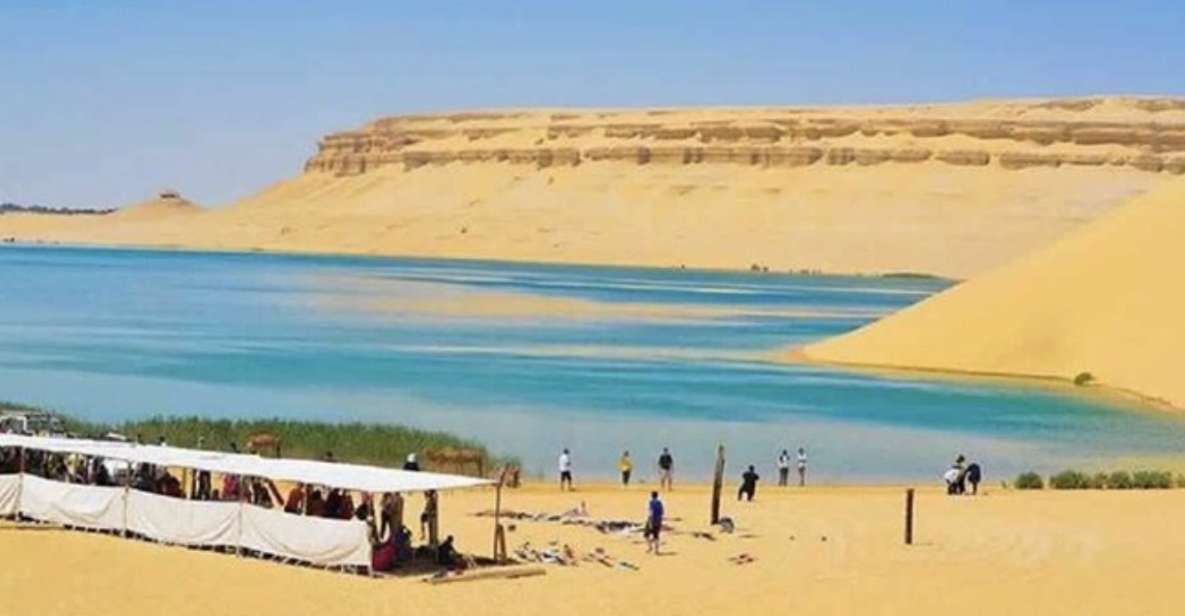From Cairo: Whale Valley and Wadi El Rayan Waterfalls Tour - Tunis Village in Fayoum: a softer landing into the desert