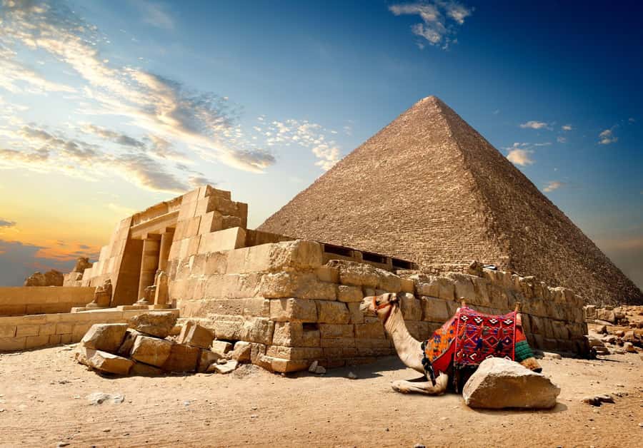 From Eilat: Cairo Private 1-Day Tour - Why This 1-Day Cairo Trip From Eilat Feels Different