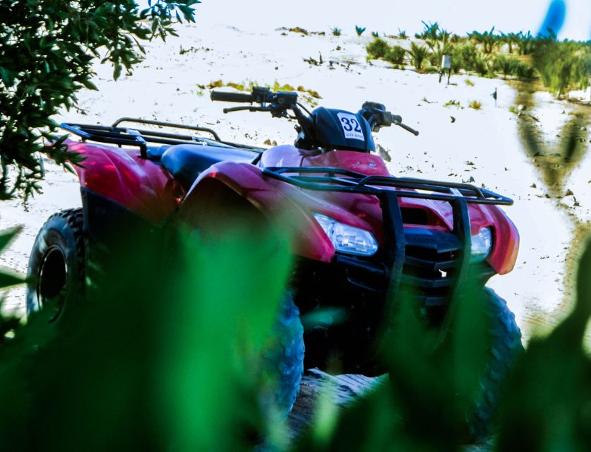 From El Gouna: Dry Canyon Quad Bike Morning Tour - Wadi Billy, the fossil canyon: coral and shells in a dry landscape