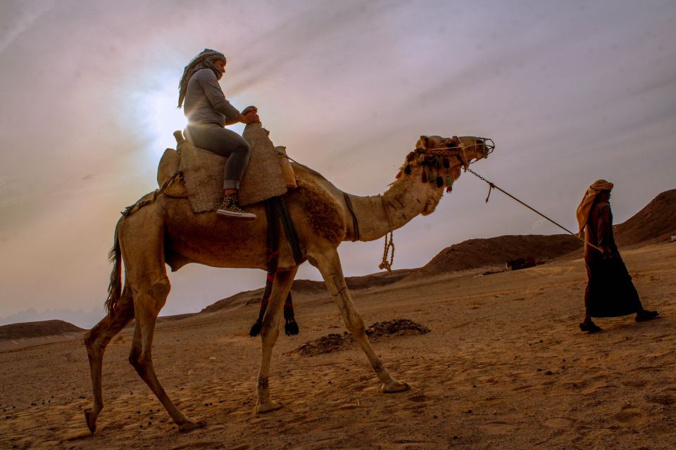 From El Gouna: Dry Canyon Quad Bike Morning Tour - The desert ride back: finishing strong and staying comfortable