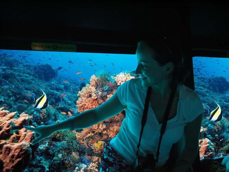 From El Gouna: Royal Seascope Submarine with Snorkel Stop - Marine life expectations: fish are the sure thing, dolphins are a maybe