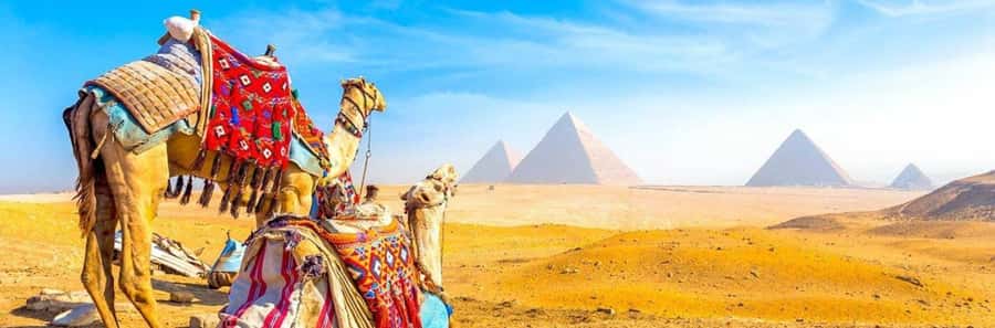 From Giza: Day tour to Giza Pyramids Tour with Pickup - Private Pickup From Giza or Cairo: Smooth Start, Fewer Decisions