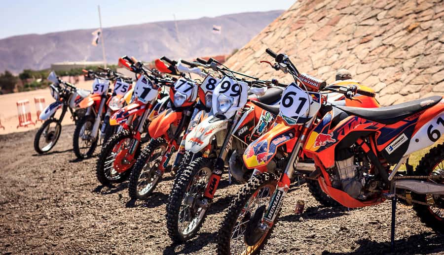 From Hurghada: El Gouna Quad and MX Bike Safari Tour - Choosing the Right Track: Beginner-Friendly vs MX-Ready