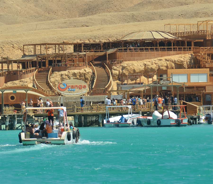 From Hurghada: Giftun Island Cruise with Lunch & Watersports - Who should book this cruise, and who should skip it