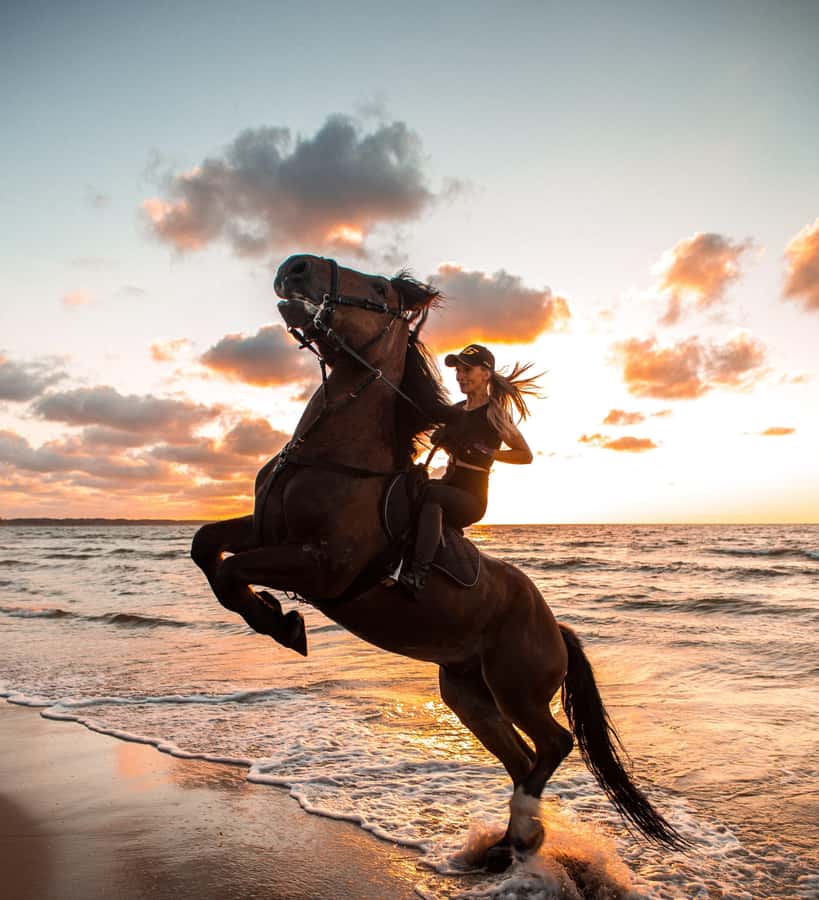 From Hurghada: Makadi Bay Horse Riding Tour - Price and value: is $20 per person a good deal here?