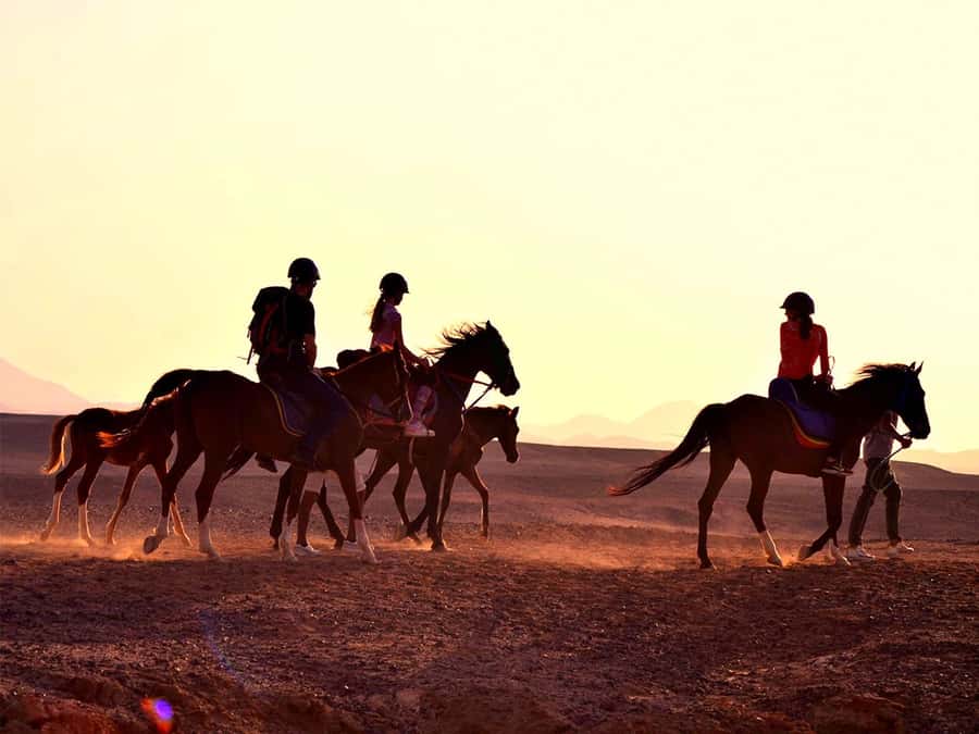 From Hurghada: Makadi Bay Horse Riding Tour - The 2-hour Makadi Bay ride: what you’ll actually do on horseback