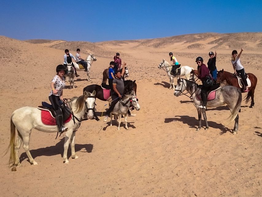From Hurghada: Makadi Bay Horse Riding Tour - VIP 4 hours with swim stop: what it means to swim with your horse