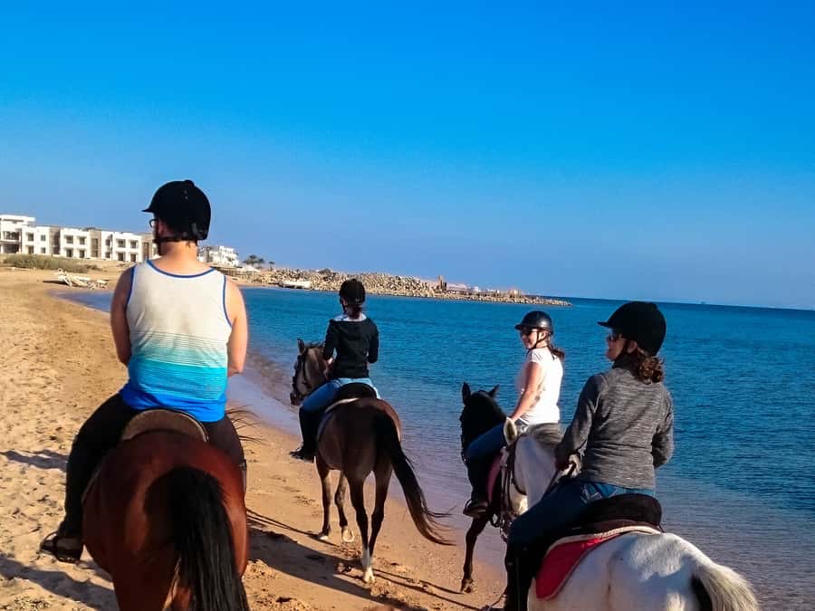From Hurghada: Makadi Bay Horse Riding Tour - Transfers and meeting points: how to avoid the usual day-of scramble