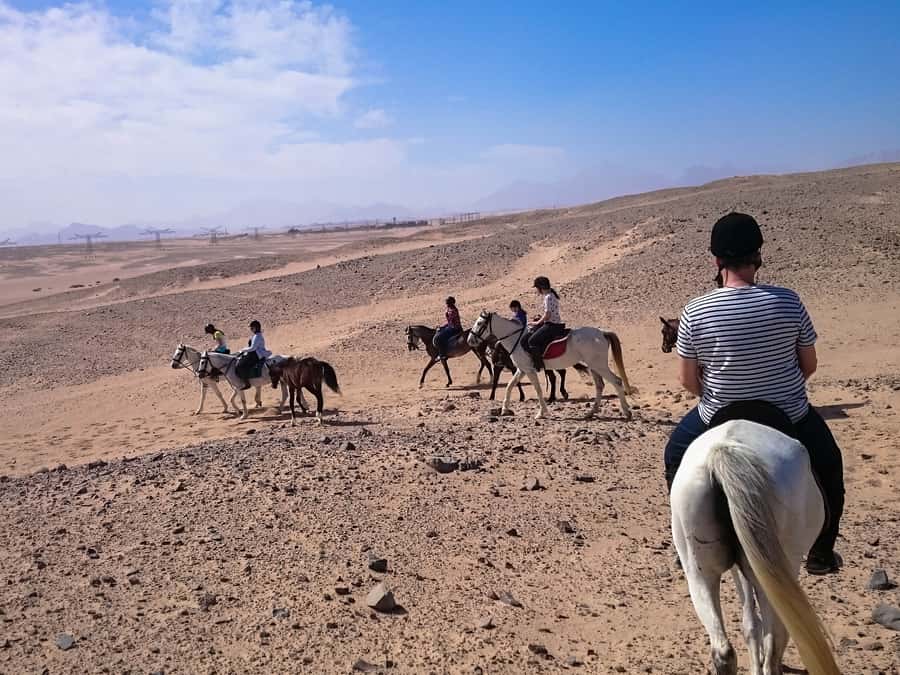 From Hurghada: Makadi Bay Horse Riding Tour - Guides, horses, and safety: why calm guidance matters more than speed