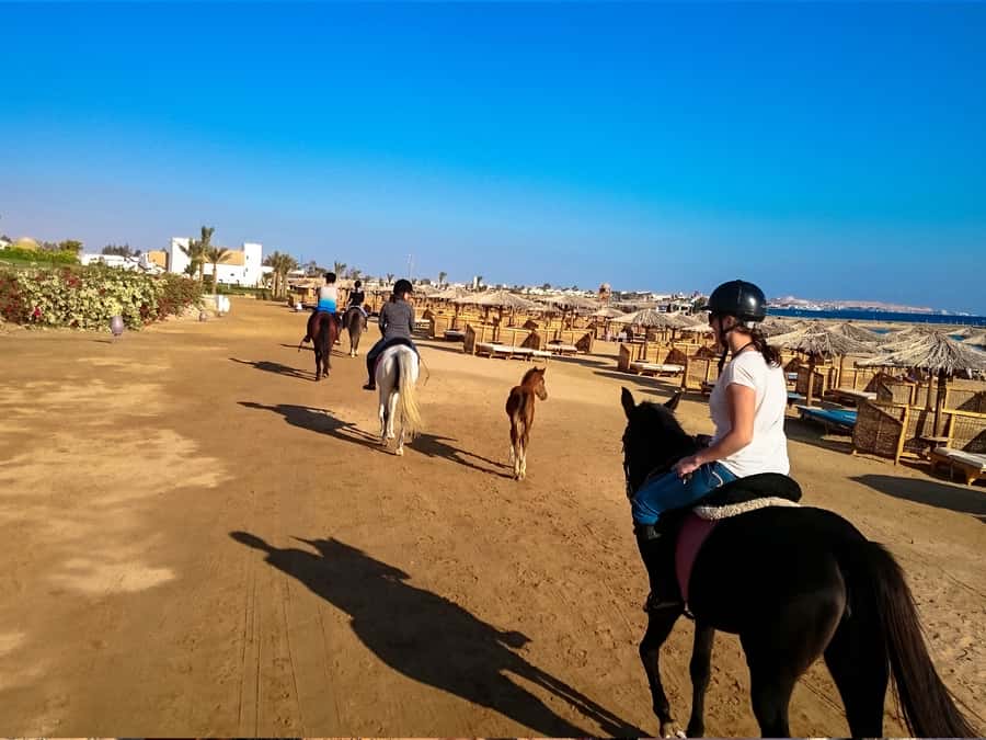 From Hurghada: Makadi Bay Horse Riding Tour - What to bring and wear in Hurghada’s sand and sea air