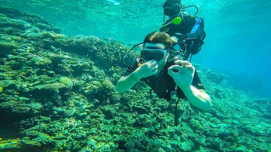 From Hurghada: Orange bay Snorkeling Cruise with Lunch - Quick Key Points Before You Go