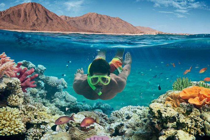 From Hurghada: Paradise Island Full-Day Snorkeling Tour - A 9-hour Red Sea escape from Hurghada
