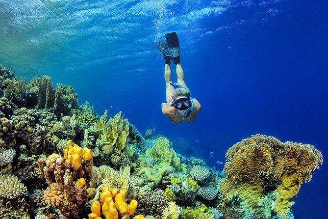 From Hurghada: Paradise Island Full-Day Snorkeling Tour - Lunch onboard: where the day gets comfortable