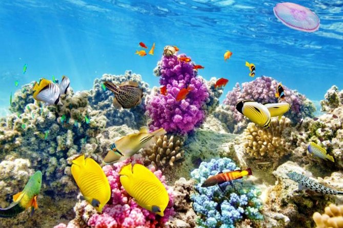 From Hurghada: Paradise Island Full-Day Snorkeling Tour - Getting there: hotel pickup, boat comfort, and group size
