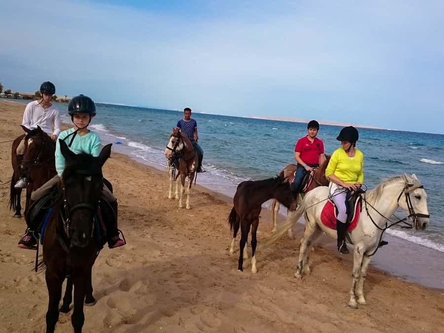 From Hurghada: Red Sea Sunrise and Desert Horseback Riding - Price and value: why $29 can be a smart splurge