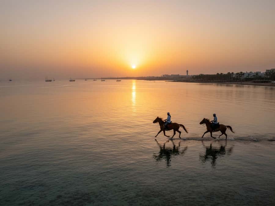 From Hurghada: Red Sea Sunrise and Desert Horseback Riding - Hurghada desert + Red Sea riding: what the experience feels like