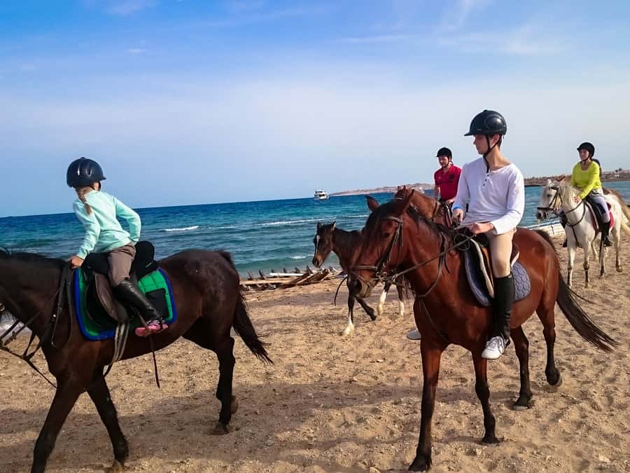 From Hurghada: Red Sea Sunrise and Desert Horseback Riding - The ride itself: what happens during the 2-hour tour