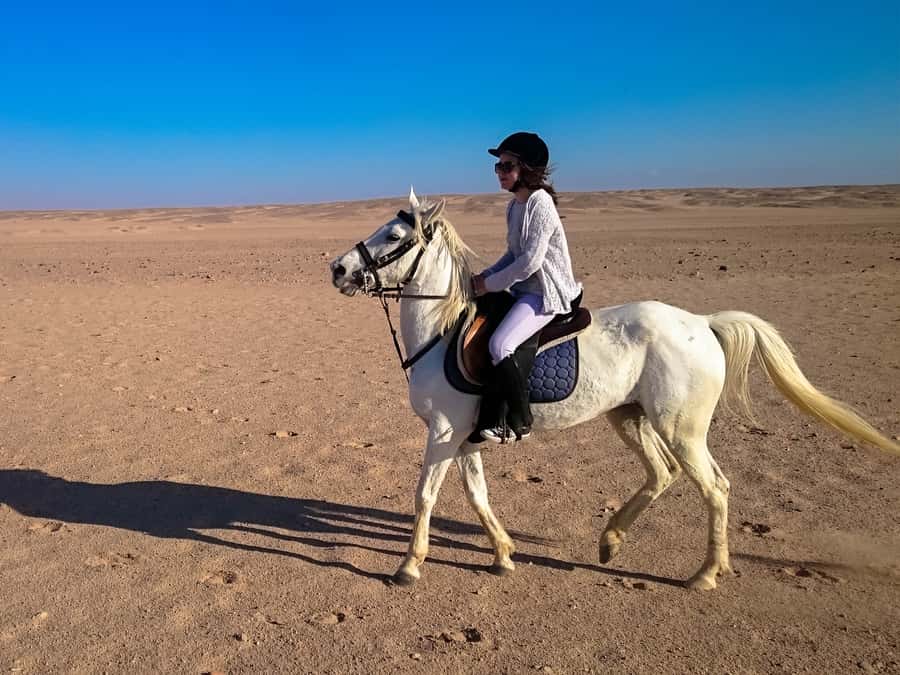 From Hurghada: Red Sea Sunrise and Desert Horseback Riding - Safety, skill matching, and the “first-time confidence” factor