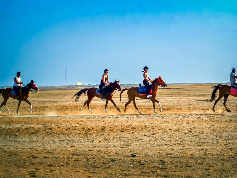From Hurghada: Red Sea Sunrise and Desert Horseback Riding - Horses that look cared for: what to notice before you ride
