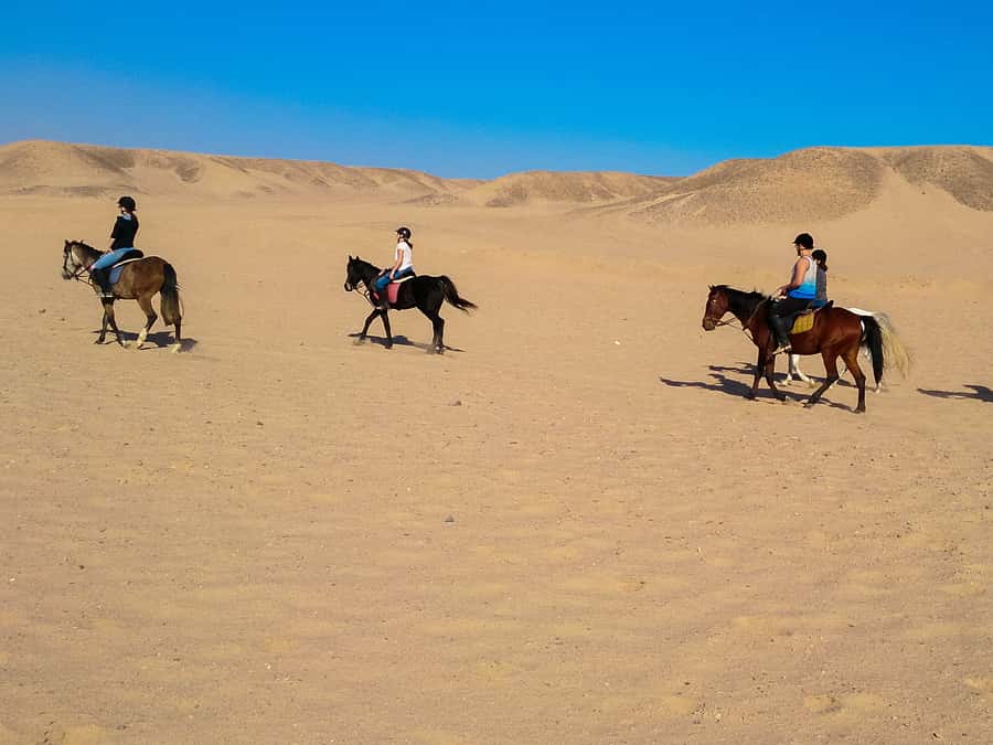 From Hurghada: Red Sea Sunrise and Desert Horseback Riding - The VIP 4-hour option: when the swim stop is worth it