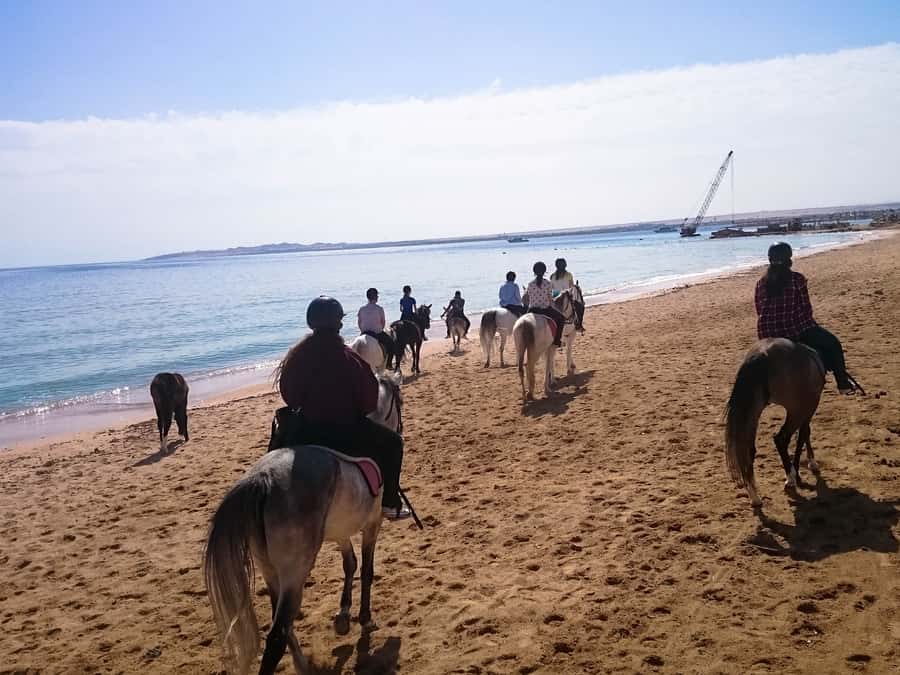 From Hurghada: Red Sea Sunrise and Desert Horseback Riding - Quad + horse: the best “action morning” combo