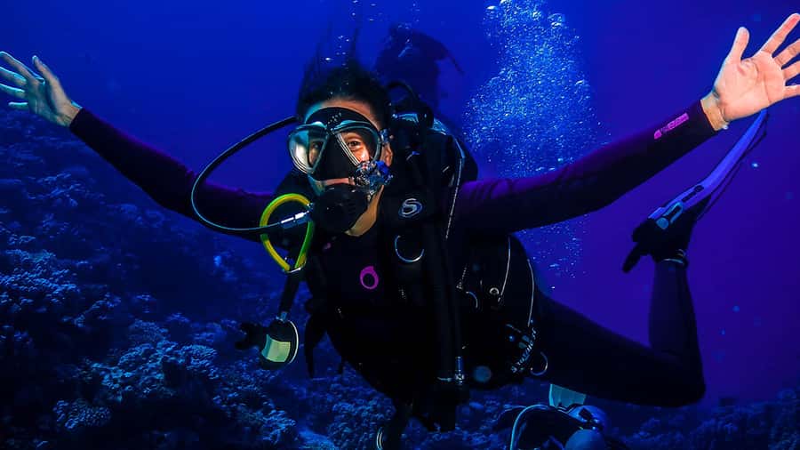 From Hurghada: Scuba Diving with Expert Guide & 2 Dives - Key Highlights You’ll Actually Care About