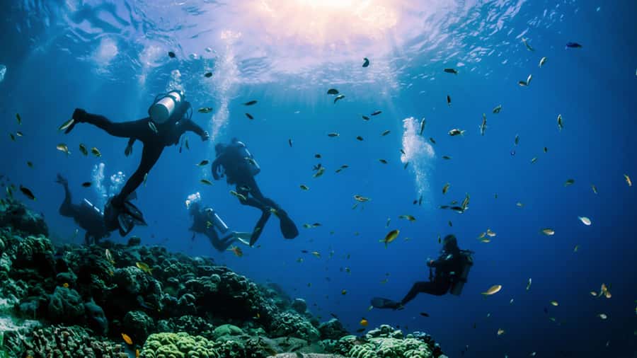 From Hurghada: Scuba Diving with Expert Guide & 2 Dives - Your Guide, Your Confidence: How Safety and Teaching Shape the Day