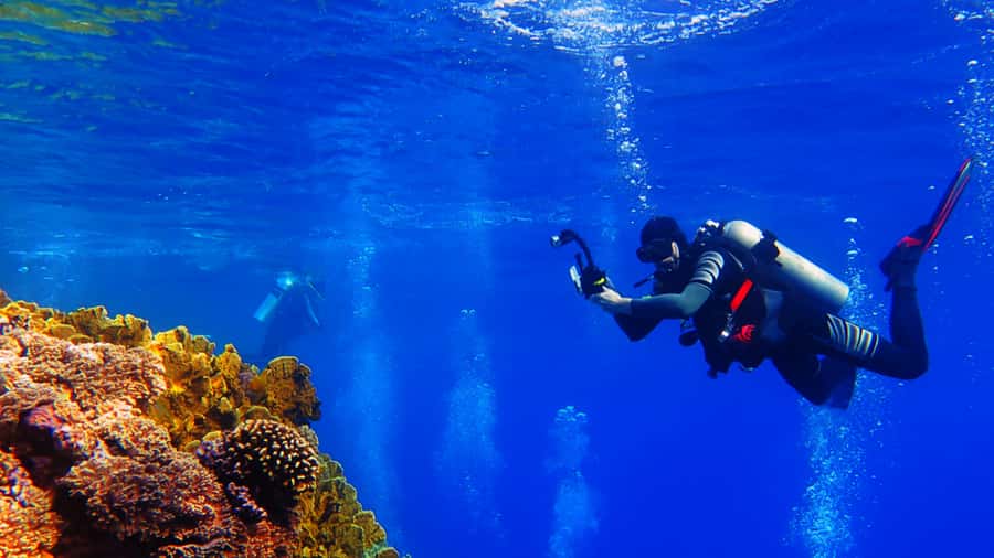 From Hurghada: Scuba Diving with Expert Guide & 2 Dives - Where This Fits Best: Beginners, Experienced Swimmers, and Families