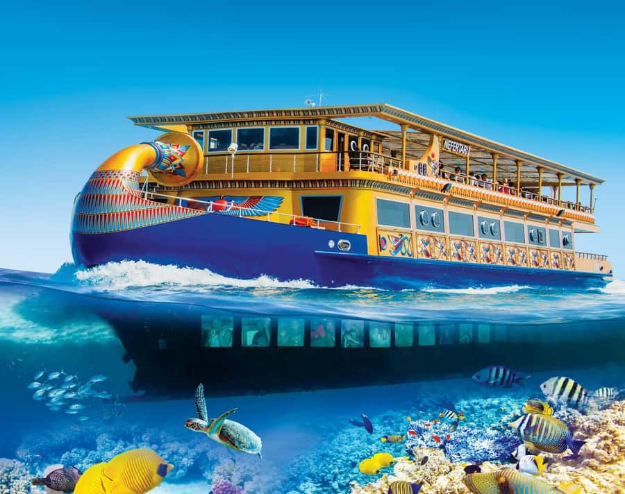From Makadi: Nefertari Sunset or Morning Cruise With pickup - A Floating Tomb and an Easy Schedule in Makadi Bay
