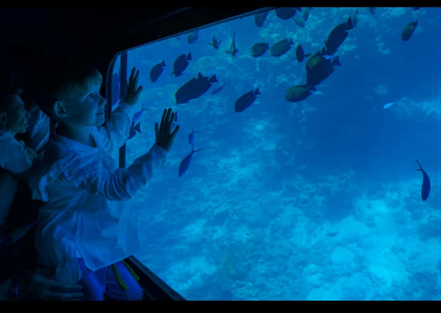 From Safaga: Royal Seascope Submarine with Snorkeling - The 45 Minutes of Marine Life Viewing: How to Get Real Value