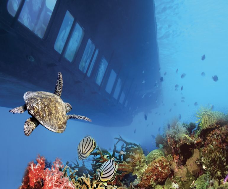 From Safaga: Royal Seascope Submarine with Snorkeling - Depth Around 4 Meters: Why Shallow Viewing Works