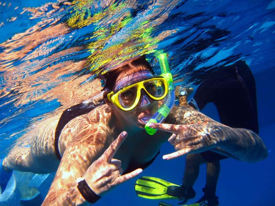 From Sharm: Half day Snorkeling Trip with Lunch - Watanya Marina to the Sea: Getting Started Smoothly