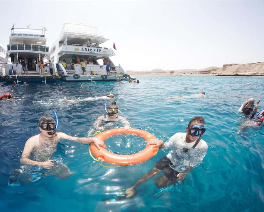From Sharm: Half day Snorkeling Trip with Lunch - Lunch on Board: Buffet Comfort After the Reef