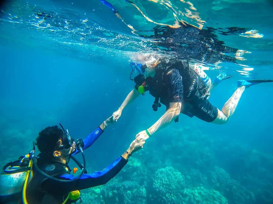 From Sharm: Luxury Diving cruise to Ras Mohammed with Lunch - Quick hits before you go