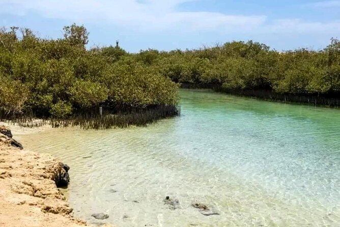 From Sharm: Ras Mohamed National Park and Magic Lake Day Tour - Guides, language, and the photo-sales factor