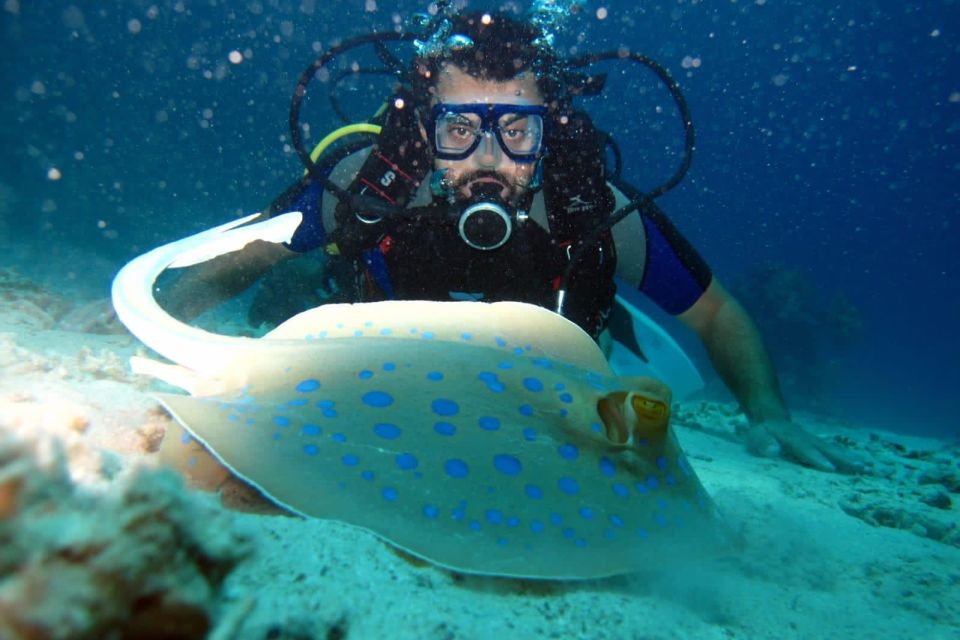 From Sharm: Ras Mohammed snorkeling cruise & optional diving - Value check: is $31 worth it for a full day?