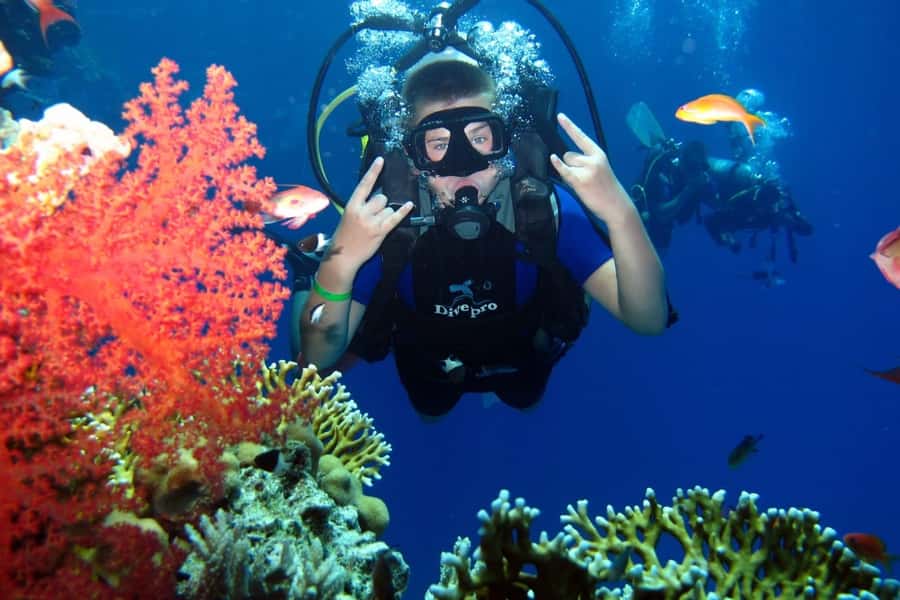 From Sharm: Ras Mohammed snorkeling cruise & optional diving - On the way back: you get your energy back