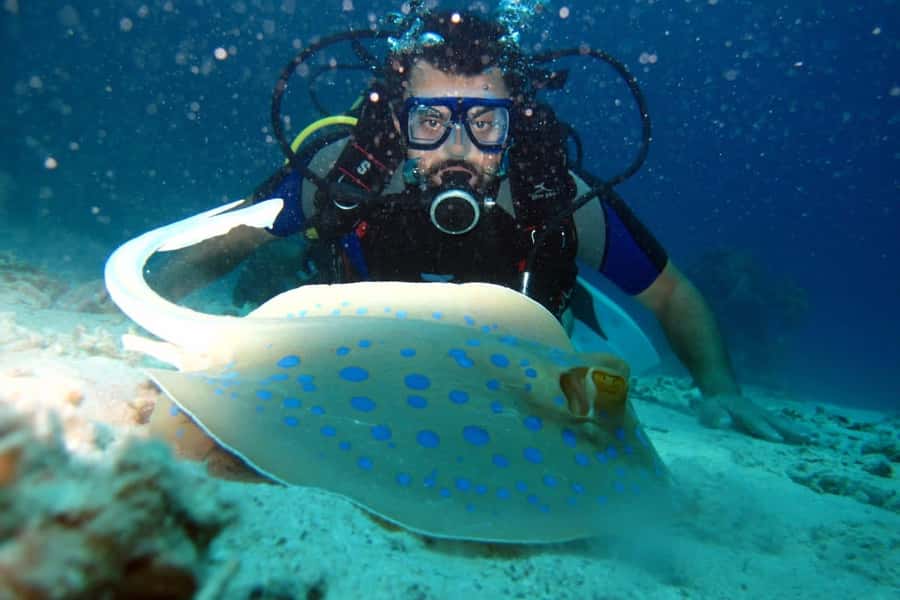 From Sharm: Ras Mohammed snorkeling cruise & optional diving - Optional scuba option: great if you want it, not necessary for everyone