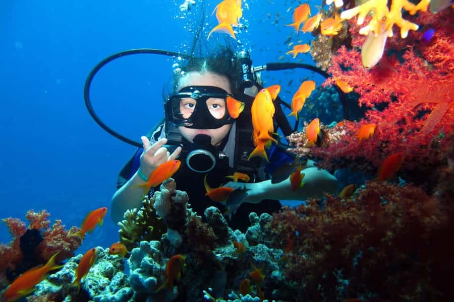 From Sharm: Ras Mohammed snorkeling cruise & optional diving - Who this cruise fits best