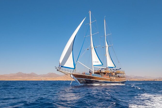 Full Day Boat Charter Rental in Sharm El Sheikh - Sina Dream Yacht: What Luxury Looks Like on the Red Sea