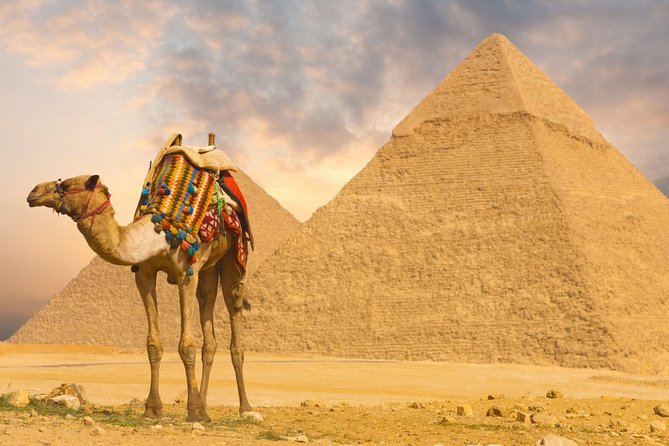 Full Day Cairo Excursion - Private Hurghada-to-Cairo Transport: the value of not “doing it yourself”