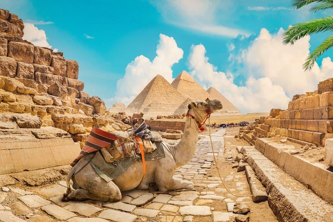 Full Day Cairo Guided Tour Pyramids and Museum, Lunch - Hurghada - Lunch and pacing: feeding yourself on a 20-hour day