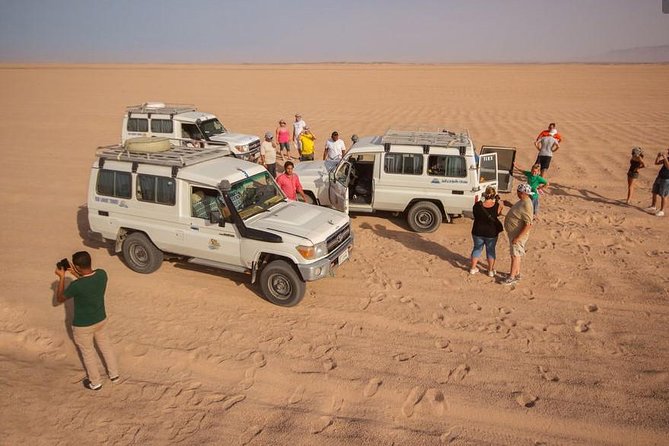 Full Day-Desert Safari To Sahara Park by jeep - Key highlights worth knowing