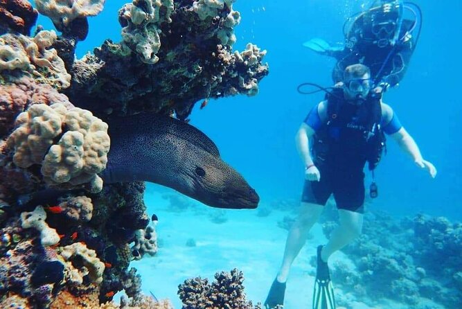 Full Day Diving for Beginners with Lunch in Hurghada - Hurghada scuba for beginners: what this day is really about