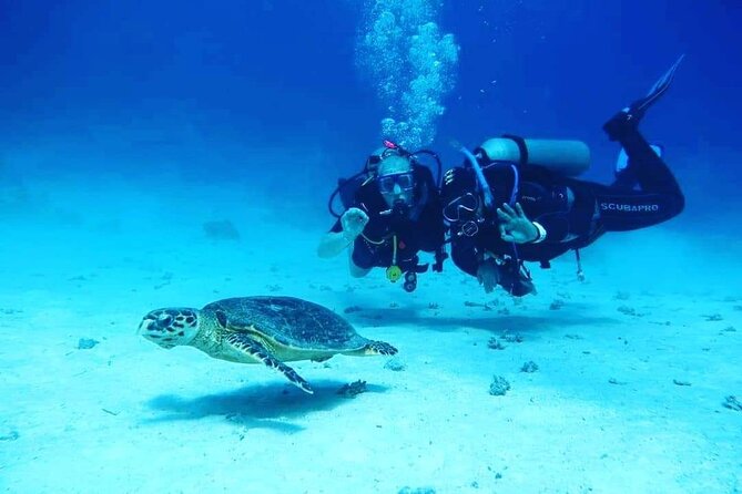 Full Day Diving for Beginners with Lunch in Hurghada - Morning logistics: pickup, gear fitting, and your first briefing
