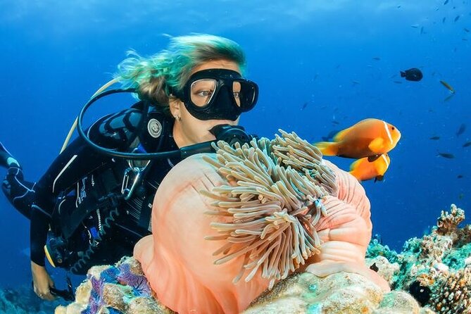 Full Day Diving for Beginners with Lunch in Hurghada - Boat time with lunch onboard: part relaxing, part survival prep