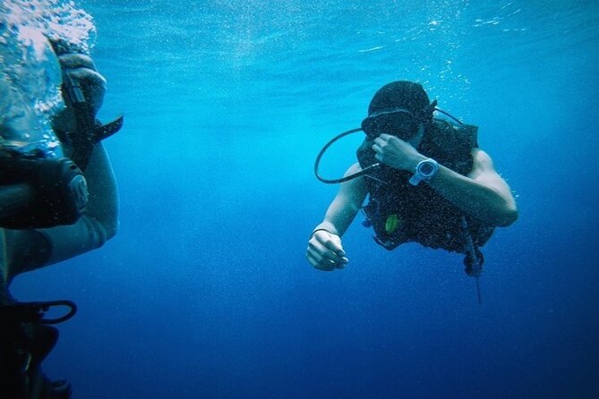 Full Day Diving for Beginners with Lunch in Hurghada - Price and value: what you pay for (and what to budget extra)